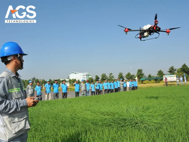 Các chỉ số thực vật để đánh giá sức khỏe và tình trạng sinh trưởng của cây trồng