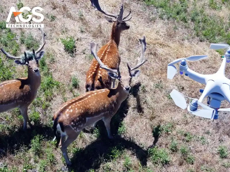 Yêu cầu kỹ năng vận hành và phân tích dữ liệu Yêu cầu kỹ năng vận hành và phân tích dữ liệu