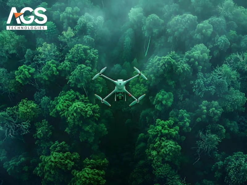 Phát hiện săn trộm và phá rừng trái phép