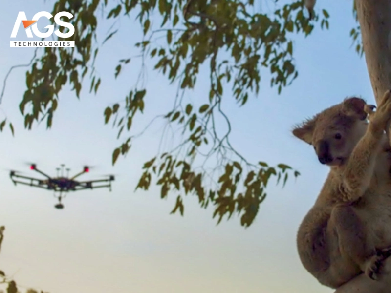 Khả năng gây xáo trộn cho một số loài nhạy cảm Khả năng gây xáo trộn cho một số loài nhạy cảm