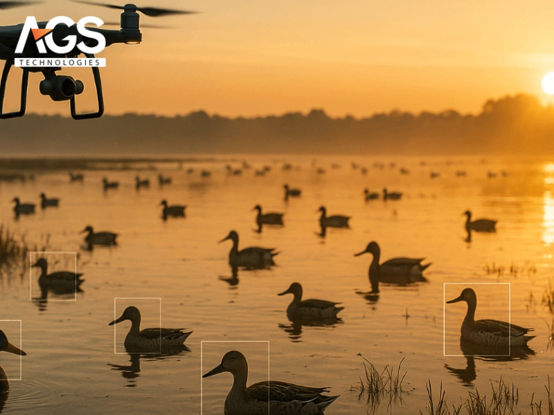 Drone theo dõi động vật hoang dã Drone theo dõi động vật hoang dã