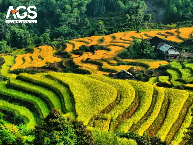 Ruộng bậc thang Hoàng Su Phì (các xã: Nậm Ty, Bản Luốc, Bản Phùng…)