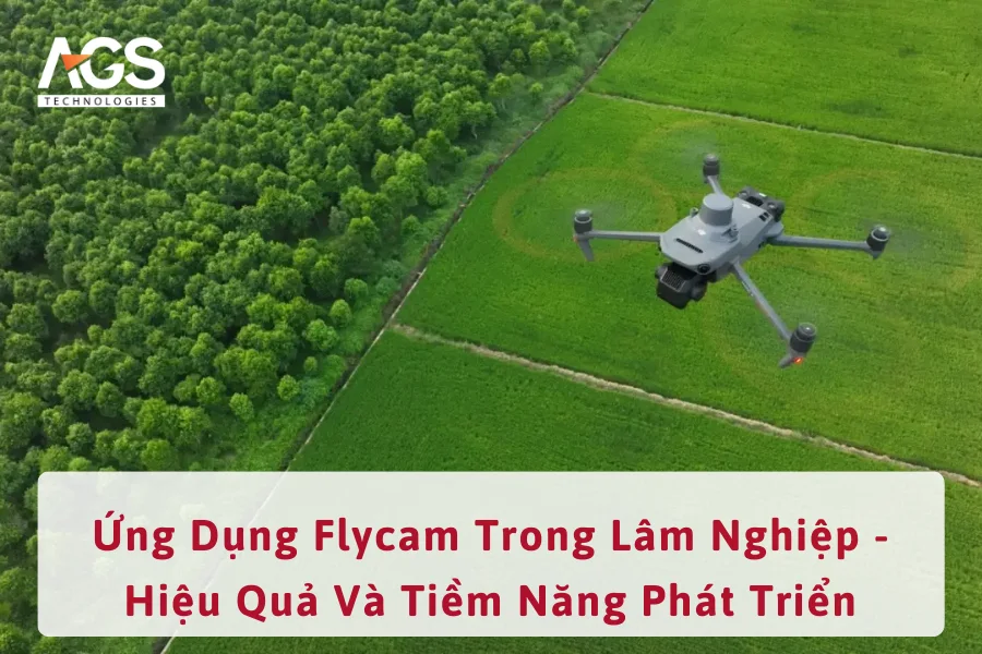 Ứng Dụng Flycam Trong Lâm Nghiệp - Hiệu Quả Và Tiềm Năng Phát Triển