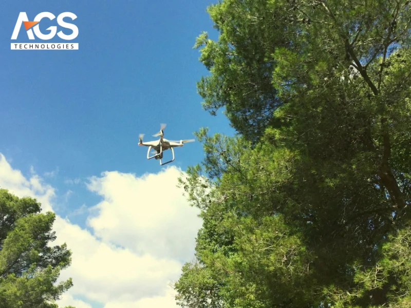 Drone theo dõi động vật hoang dã Drone theo dõi động vật hoang dã