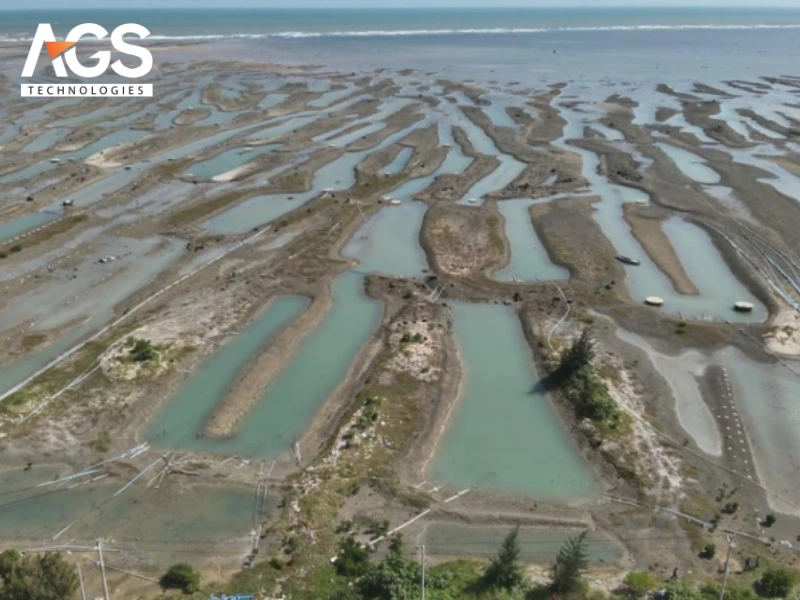 Drone theo dõi xâm lấn ngập mặn