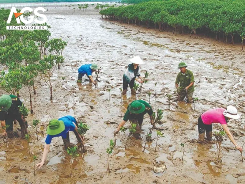 Drone theo dõi xâm lấn ngập mặn