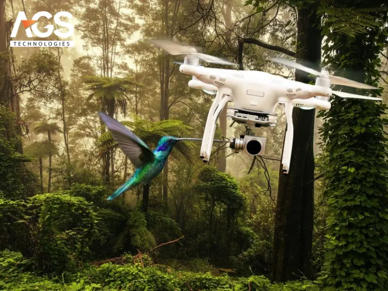 Các loại drone phổ biến cho theo dõi động vật Các loại drone phổ biến cho theo dõi động vật