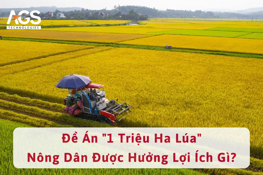 Đề Án "1 Triệu Ha Lúa" - Nông Dân Được Hưởng Lợi Ích Gì?