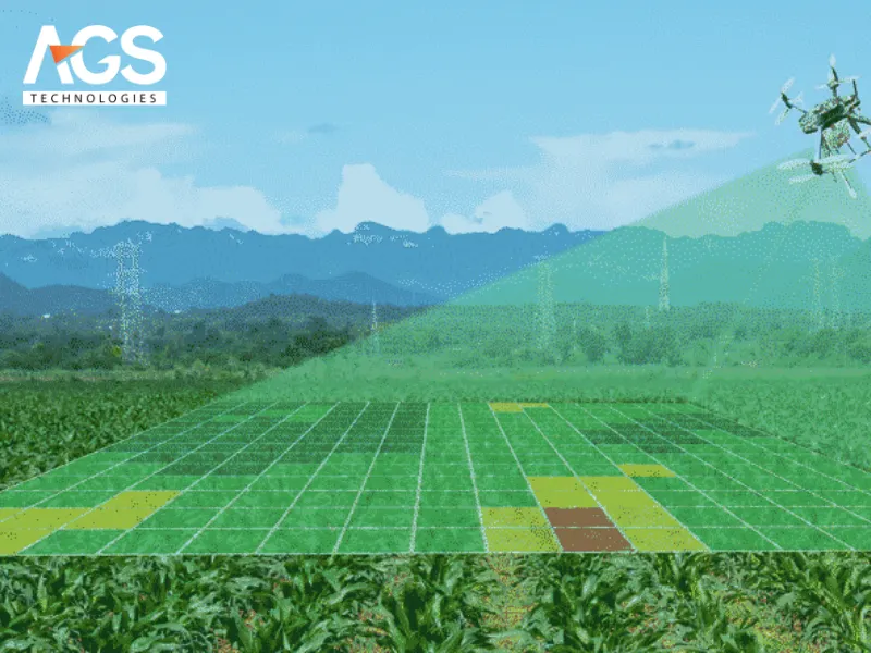 Tối ưu thời gian và chi phí