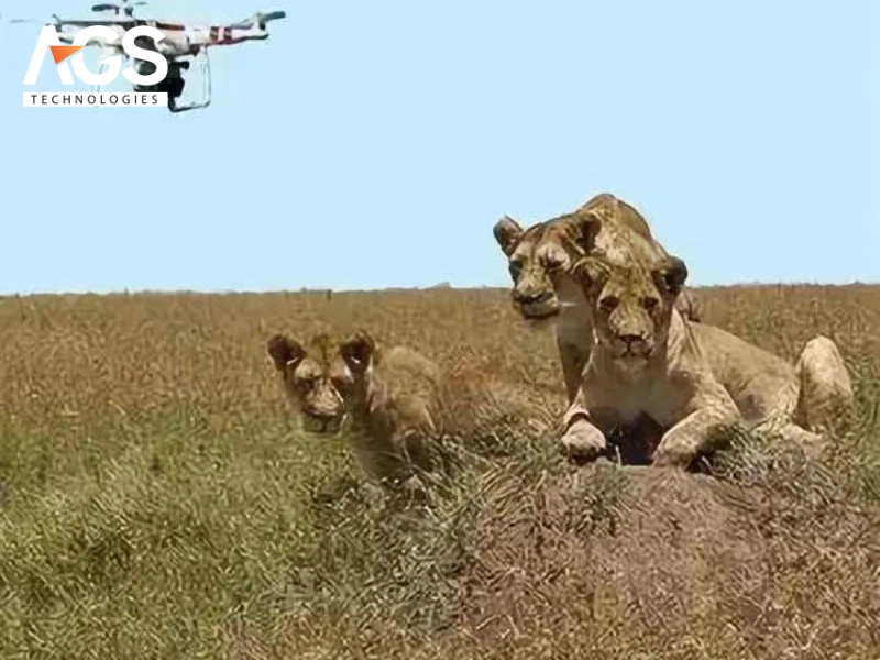 Quy định pháp lý và vấn đề riêng tư Quy định pháp lý và vấn đề riêng tư