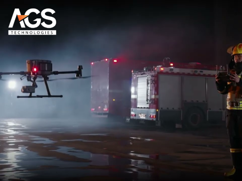 Giai đoạn trước thảm họa (phòng ngừa và chuẩn bị)