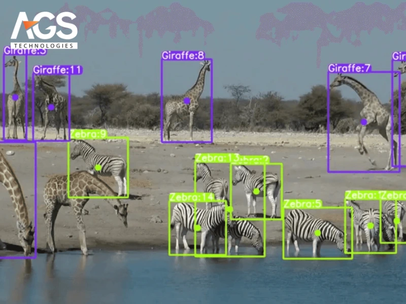 Đếm số lượng loài và theo dõi di cư